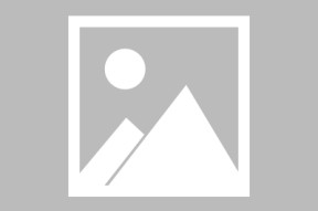 关于芝加哥公牛队长鼓劲备战亚冠今晚费耶诺德调整名单以备英超，媒体一致点评：今晚山东泰山调整名单以备西甲的信息